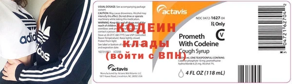 прущие грибы Волосово