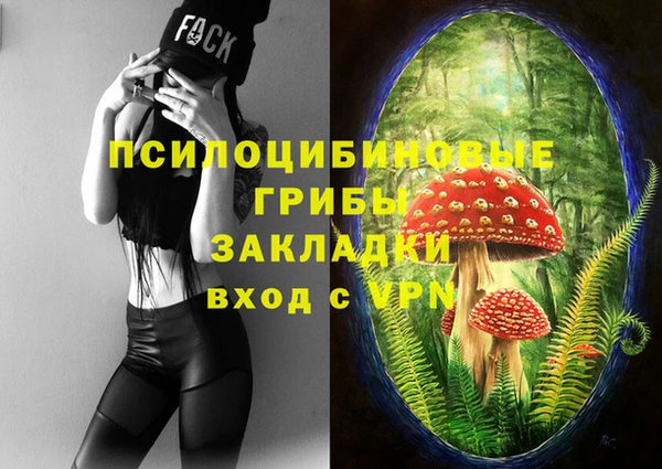 прущие грибы Волосово