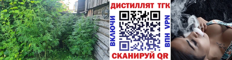 darknet официальный сайт  mega tor  Чкаловск  Дистиллят ТГК гашишное масло 